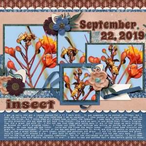 9-September_22_2019_Empty_nest