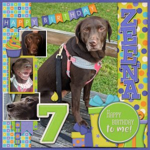 Happy Bday Zeena!
