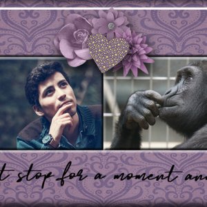 Just stop...