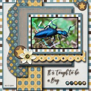 It's Tough to be a Bug