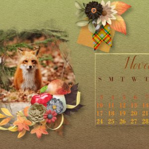 November 2019 calendar with fox picture from Unsplash