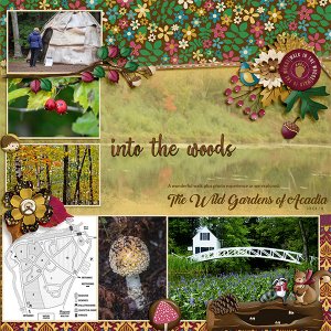Into the Woods