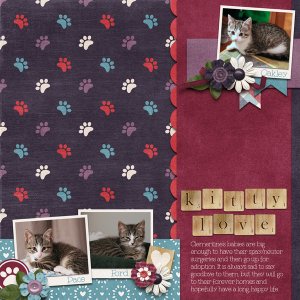 October 2019 Template Bundle - Cat's Meow