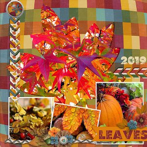 Leaves