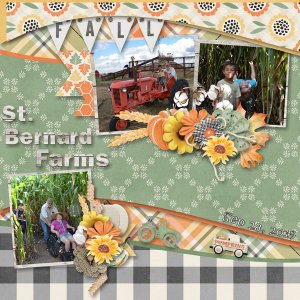 St Bernard Farms Fall