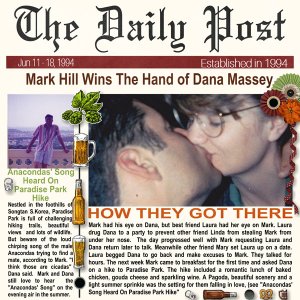 The Daily Post