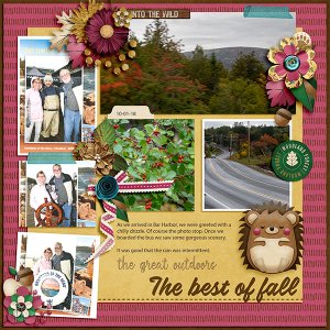 The Best of Fall