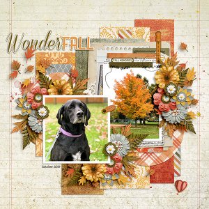 WonderFALL