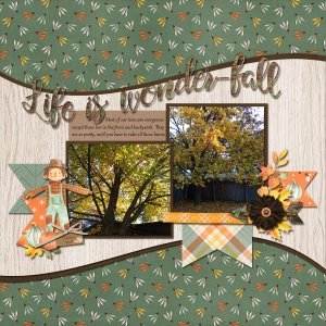 Life is Wonder-Fall