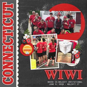WIWI 2018