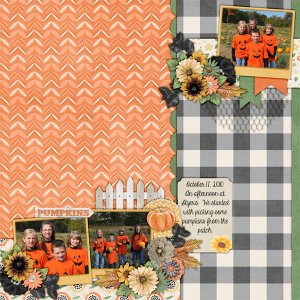 pumpkin patch