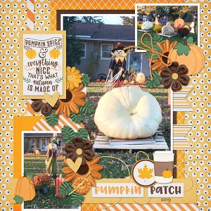 Pumpkin Patch
