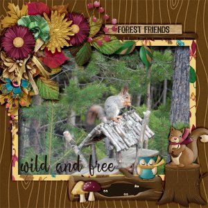 Wild-and-free5