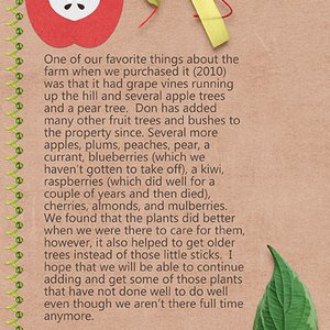 GS: CreateRewards - Our Apples