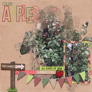 GS: CreateRewards - Our Apples