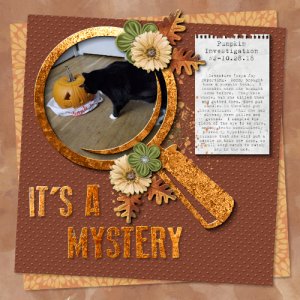 Pumpkin Investigation #2-10.28.18