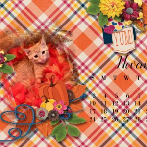 Lily Nov. 2019