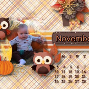 November calendar