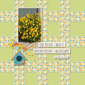Wildflowers