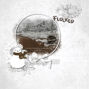 Flocked