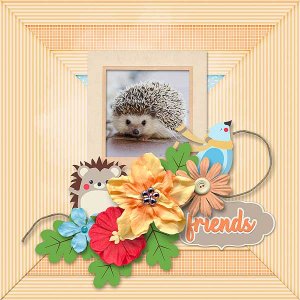 Friends