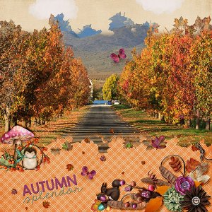 Autumn Splendor