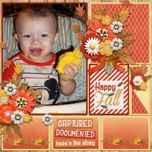 Capture Autumn