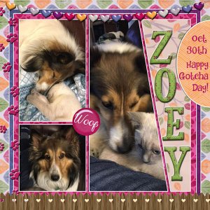 Zoeys Gotcha Day