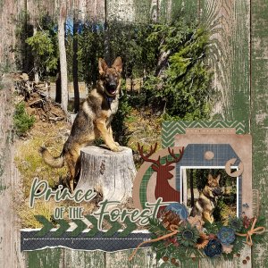 Prince of the Forest