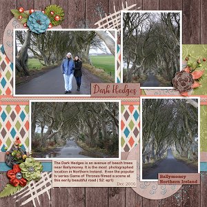 Dark Hedges-Brush Ch