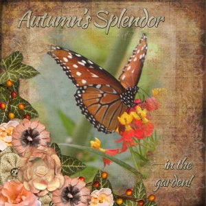 Autumn's Splendor in the garden!