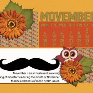 MOVEMBER