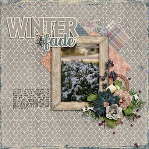 Winter Fade