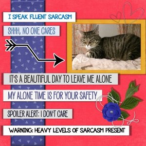 November 2019 Daily Download Challenge