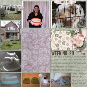 November 2019 Inspiration Challenge