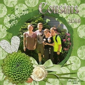 Cousins 2018
