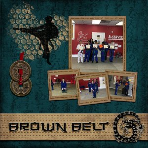 Brown Belt