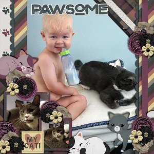h-rat-pawsome