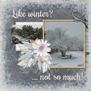 Like winter?   ... not so much!