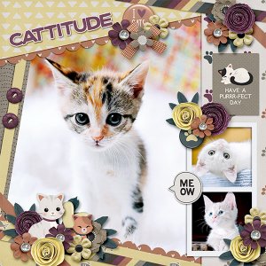 NTTD_Long_1524_Aprilisa_Cattitude_Temp_Aprilisa_PP193