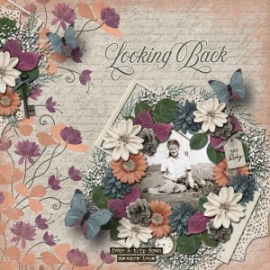 Looking Back
