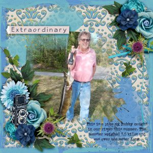 600-pattyb-scraps-observations-pia-02