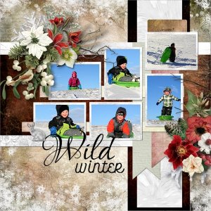 Wild Winter