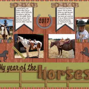 Kathi's year of the horses