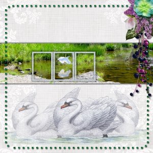 Swans