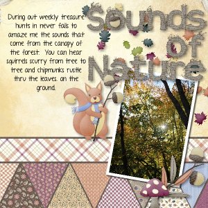 Sounds of Nature