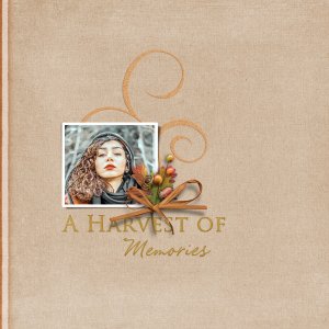 a harvest of memories