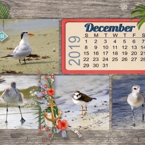 Nov Desktop Challenge