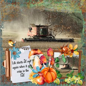 Life Starts Over In The Fall