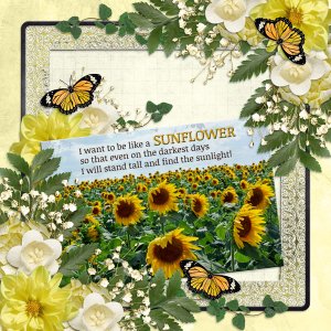 I want to be like a SUNFLOWER